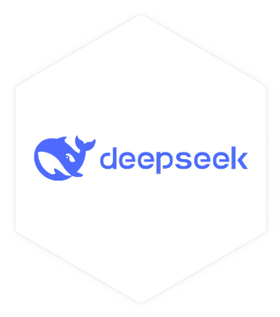 DeepSeek合作伙伴标志